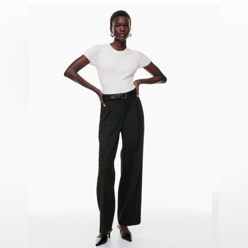 Aritzia Babaton Pleated pant